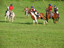 Argentina-Cordoba/Mendoza-Sierra Chicas Country Polo Clinics